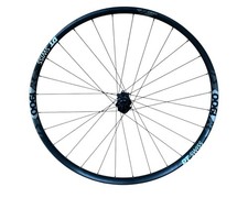 Ruota posteriore DT Swiss